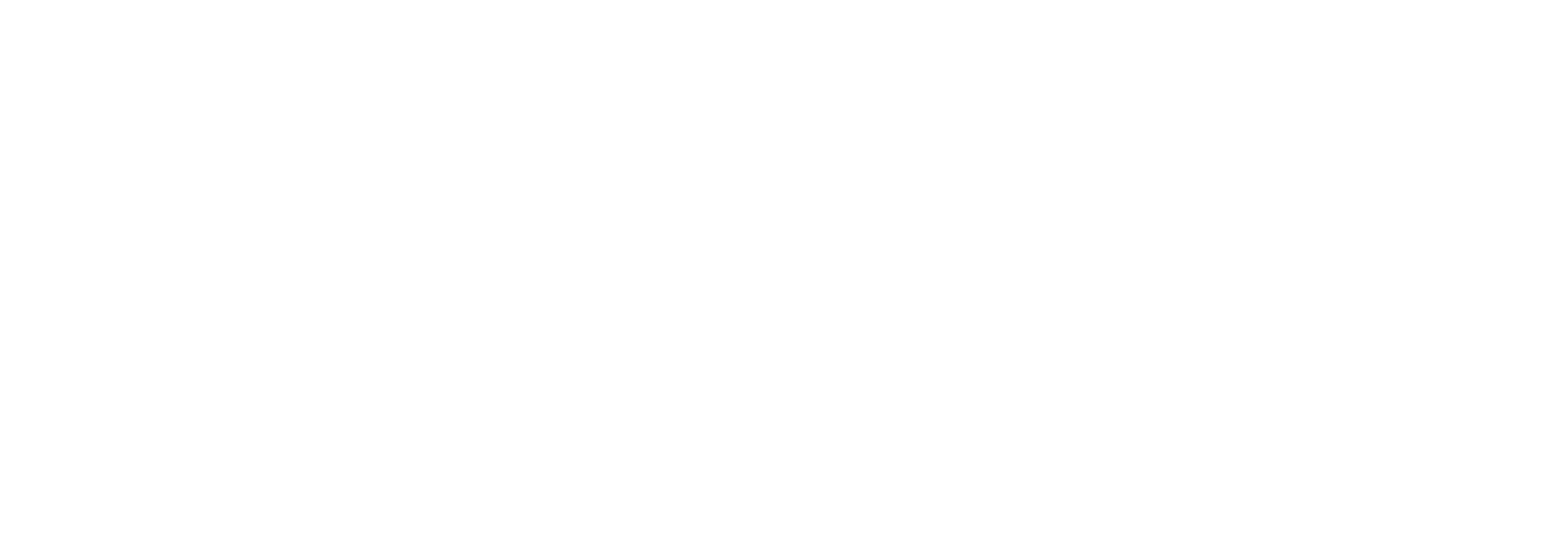 Copy of DonorSearch_Logo_Main 2