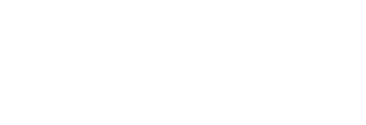 Copy of N1-Logo-2020-dh-lg-02 copy